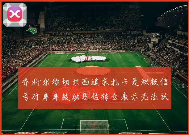 乔科尔称切尔西追求扎卡是积极信号对库库鼓动恩佐转会表示无法认同