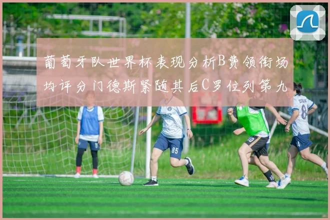 葡萄牙队世界杯表现分析B费领衔场均评分门德斯紧随其后C罗位列第九